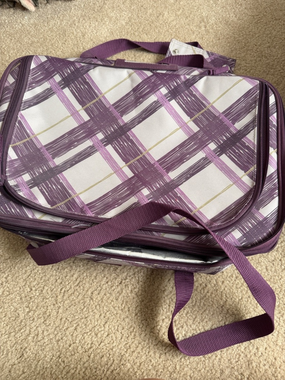 Thirty-One Purple Plaid double layer thermal carrying case.